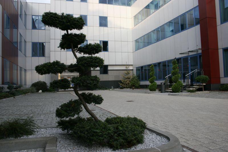 Office building, inner courtyard