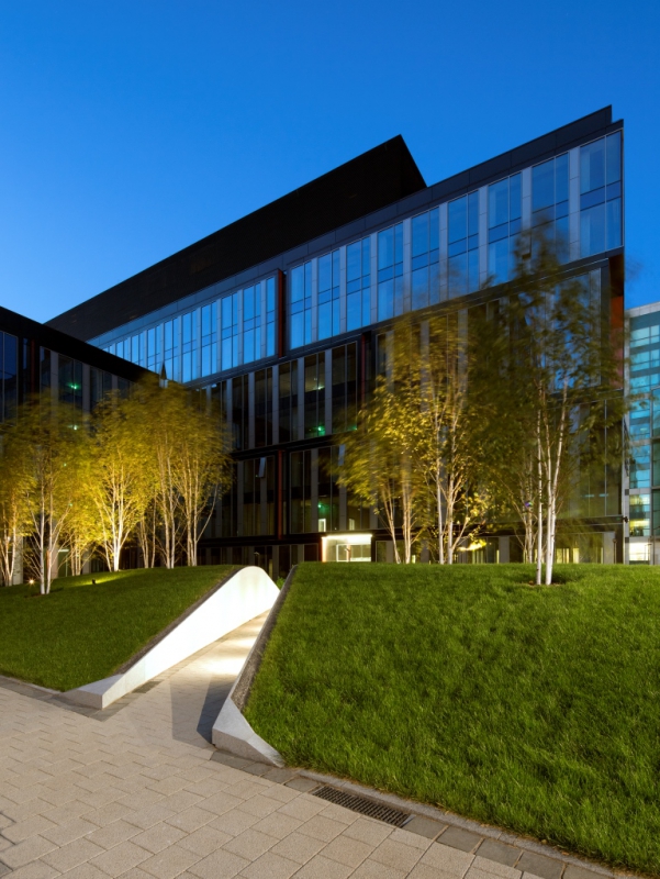 Green in front of the office building