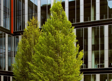 Postępu 14 dba o środowisko Mokotowa