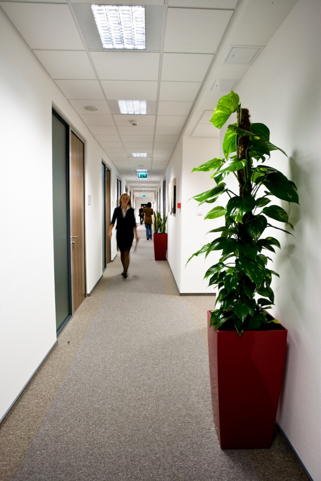 Regus Marynarska Point II