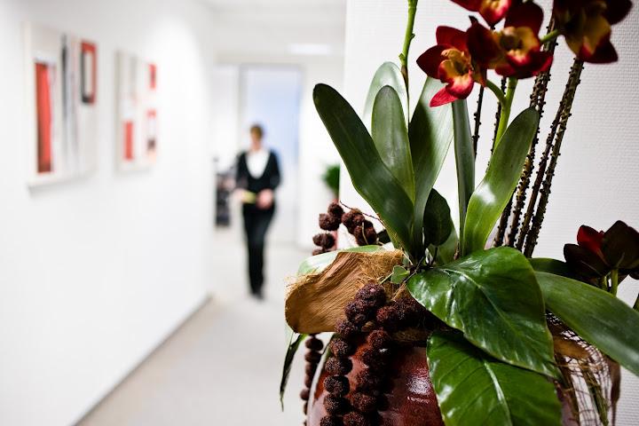 The corridor