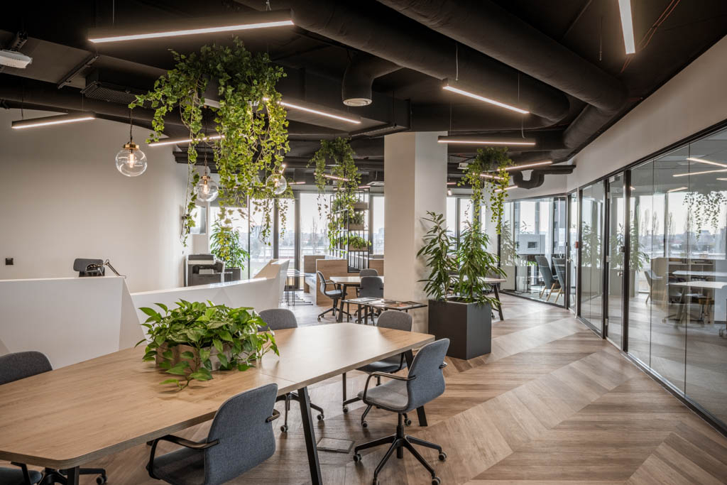 Twój Start Up (TSU)