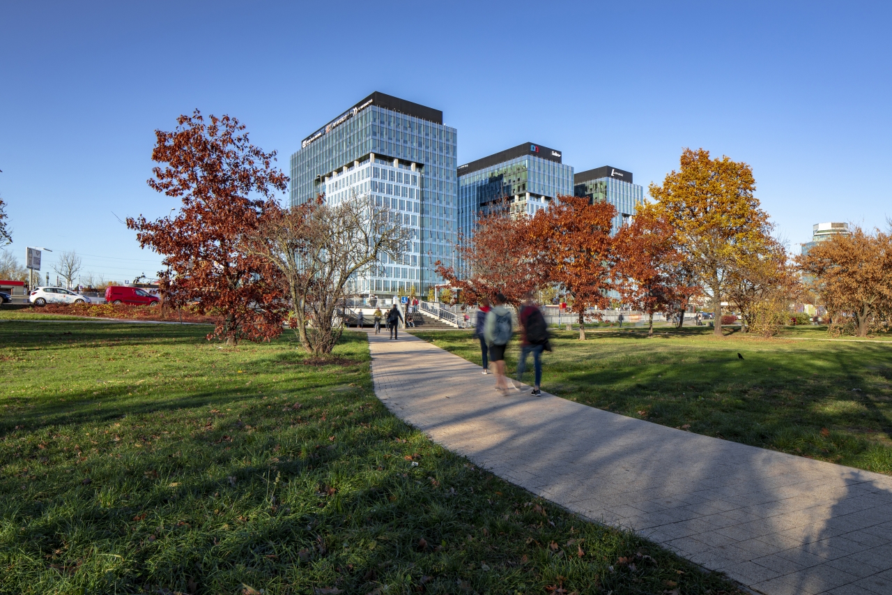 View of the office buildings